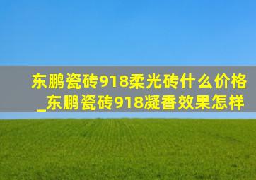 东鹏瓷砖918柔光砖什么价格_东鹏瓷砖918凝香效果怎样