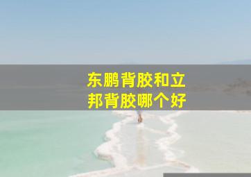 东鹏背胶和立邦背胶哪个好