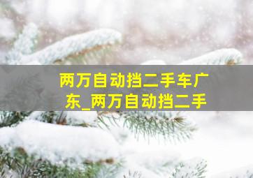 两万自动挡二手车广东_两万自动挡二手