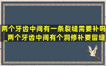 两个牙齿中间有一条裂缝需要补吗_两个牙齿中间有个洞修补要留缝吗