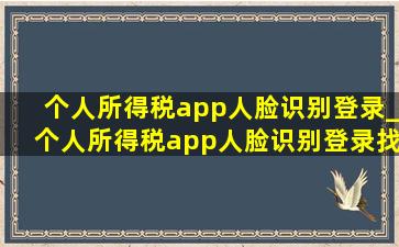 个人所得税app人脸识别登录_个人所得税app人脸识别登录找不到