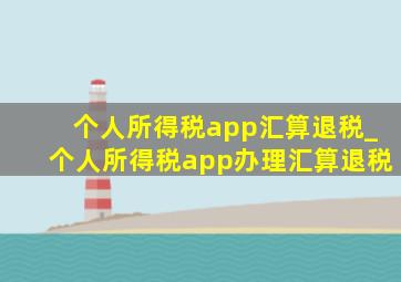 个人所得税app汇算退税_个人所得税app办理汇算退税