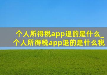 个人所得税app退的是什么_个人所得税app退的是什么税