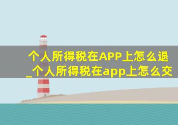 个人所得税在APP上怎么退_个人所得税在app上怎么交