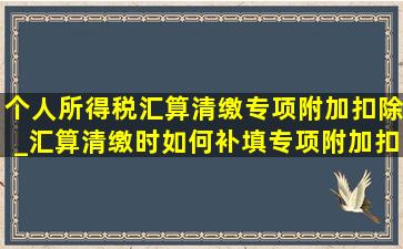 个人所得税汇算清缴专项附加扣除_汇算清缴时如何补填专项附加扣除