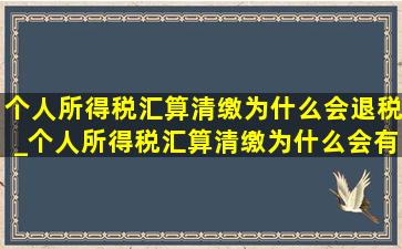 个人所得税汇算清缴为什么会退税_个人所得税汇算清缴为什么会有退税