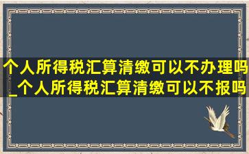 个人所得税汇算清缴可以不办理吗_个人所得税汇算清缴可以不报吗