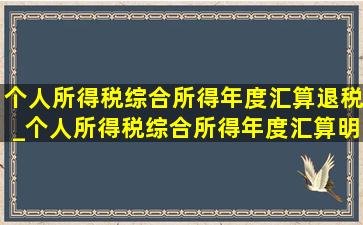 个人所得税综合所得年度汇算退税_个人所得税综合所得年度汇算明细