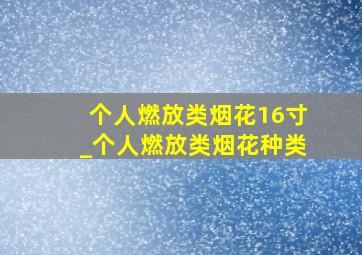 个人燃放类烟花16寸_个人燃放类烟花种类