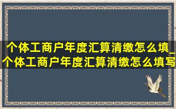 个体工商户年度汇算清缴怎么填_个体工商户年度汇算清缴怎么填写