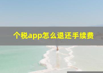 个税app怎么退还手续费