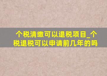 个税清缴可以退税项目_个税退税可以申请前几年的吗