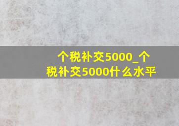 个税补交5000_个税补交5000什么水平