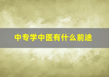 中专学中医有什么前途