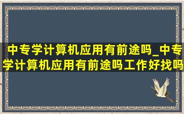 中专学计算机应用有前途吗_中专学计算机应用有前途吗工作好找吗