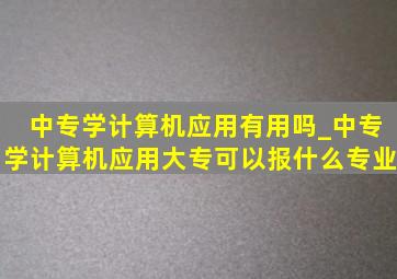 中专学计算机应用有用吗_中专学计算机应用大专可以报什么专业