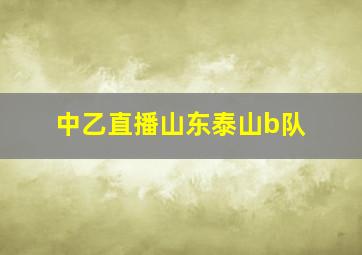 中乙直播山东泰山b队