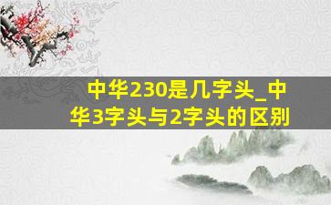 中华230是几字头_中华3字头与2字头的区别