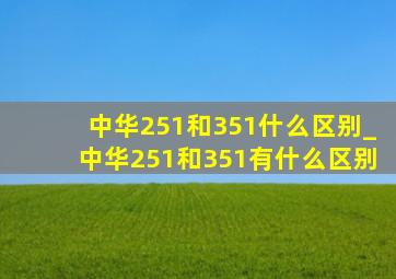 中华251和351什么区别_中华251和351有什么区别