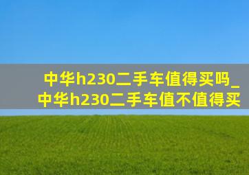 中华h230二手车值得买吗_中华h230二手车值不值得买