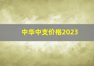 中华中支价格2023