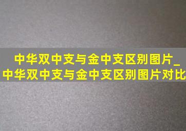 中华双中支与金中支区别图片_中华双中支与金中支区别图片对比