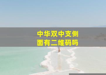 中华双中支侧面有二维码吗