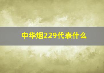 中华烟229代表什么