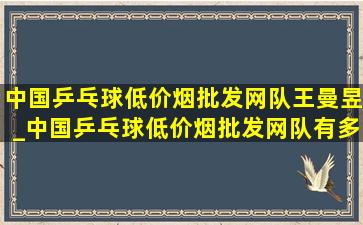 中国乒乓球(低价烟批发网)队王曼昱_中国乒乓球(低价烟批发网)队有多少人