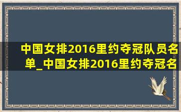 中国女排2016里约夺冠队员名单_中国女排2016里约夺冠名单