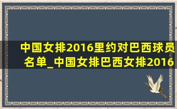 中国女排2016里约对巴西球员名单_中国女排巴西女排2016里约奥运会