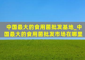 中国最大的食用菌批发基地_中国最大的食用菌批发市场在哪里
