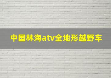 中国林海atv全地形越野车