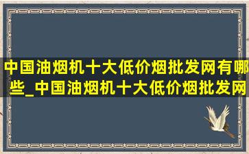 中国油烟机十大(低价烟批发网)有哪些_中国油烟机十大(低价烟批发网)排名