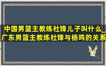 中国男篮主教练杜锋儿子叫什么_广东男篮主教练杜锋与杨鸣的关系