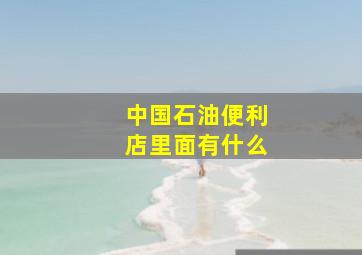 中国石油便利店里面有什么