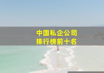 中国私企公司排行榜前十名