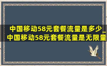 中国移动58元套餐流量是多少_中国移动58元套餐流量是无限量吗