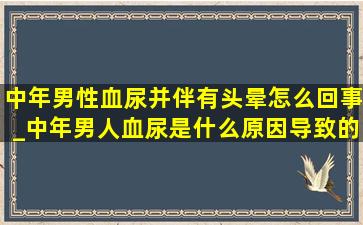 中年男性血尿并伴有头晕怎么回事_中年男人血尿是什么原因导致的