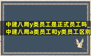 中建八局y类员工是正式员工吗_中建八局a类员工和y类员工区别