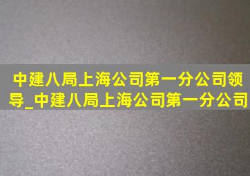 中建八局上海公司第一分公司领导_中建八局上海公司第一分公司