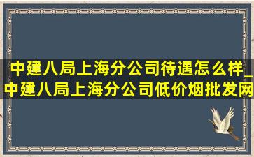 中建八局上海分公司待遇怎么样_中建八局上海分公司(低价烟批发网)薪酬标准