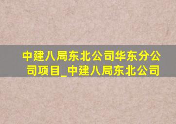 中建八局东北公司华东分公司项目_中建八局东北公司