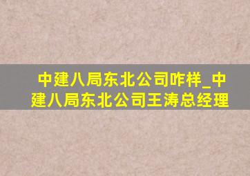 中建八局东北公司咋样_中建八局东北公司王涛总经理