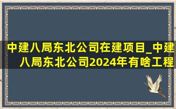 中建八局东北公司在建项目_中建八局东北公司2024年有啥工程