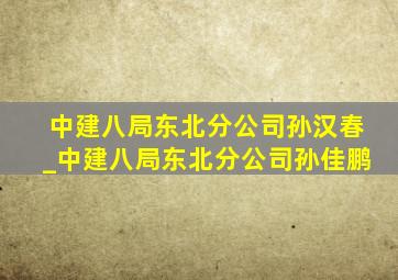 中建八局东北分公司孙汉春_中建八局东北分公司孙佳鹏