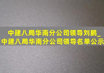 中建八局华南分公司领导刘鹏_中建八局华南分公司领导名单公示