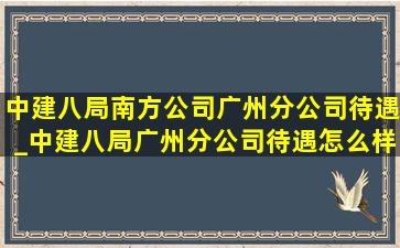 中建八局南方公司广州分公司待遇_中建八局广州分公司待遇怎么样