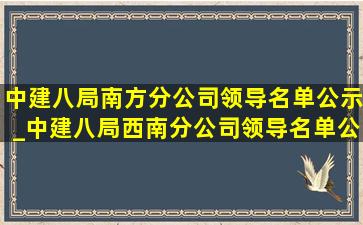 中建八局南方分公司领导名单公示_中建八局西南分公司领导名单公示