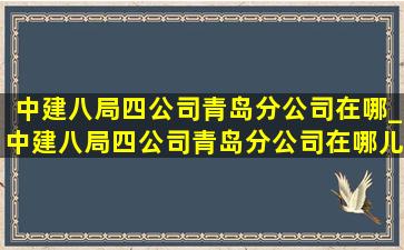 中建八局四公司青岛分公司在哪_中建八局四公司青岛分公司在哪儿